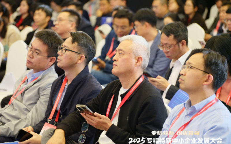 極目新聞：青島中新華美受邀參加2025專精特新中小企業(yè)發(fā)展大會(huì)